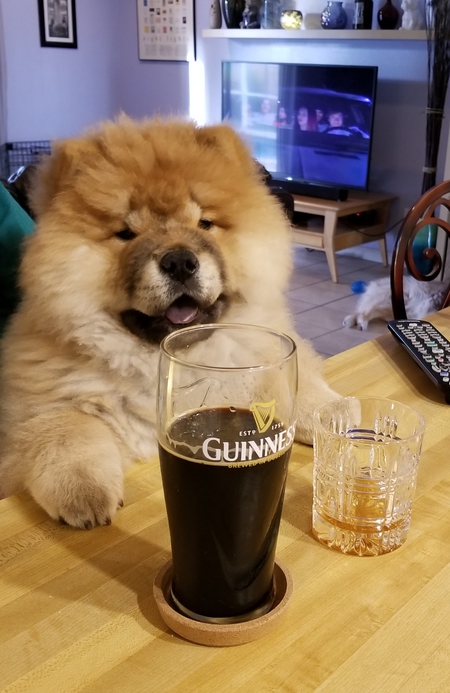 Oliver - "One beer,one shot,one Chow"