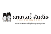 Animal Studio Photography