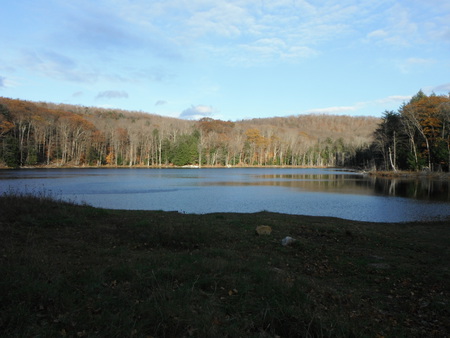 Felton Pond in October Mountain State Forest