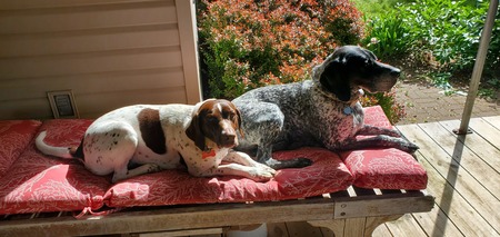Ginger and Remi