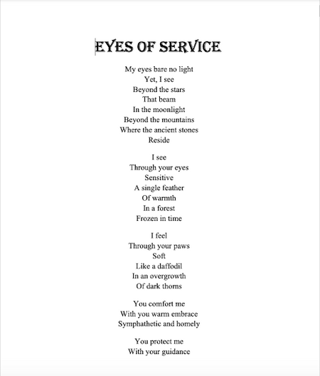Eyes of Service