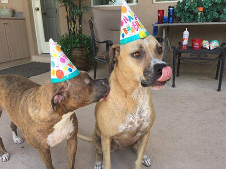 Zodi and Lucy (Zodi's Birthday
