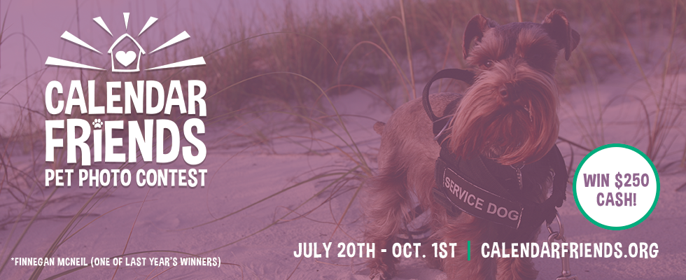 Calendar Photography Contest : Humane society of bay county calendar friends pet photo Calendar Photography Contest : Humane society of bay county calendar friends pet photo