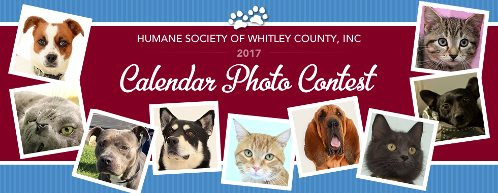Calendar Photography Submissions : Humane society of whitley county inc calendar Calendar Photography Submissions : Humane society of whitley county inc calendar