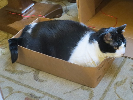 GUINNESS in "I Never Met a Box I Didn't Like"