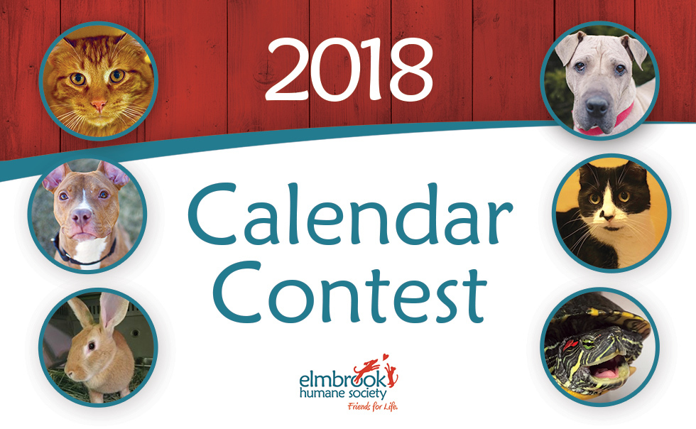 Calendar Photography Submissions : Elmbrook humane society Calendar Photography Submissions : Elmbrook humane society