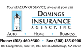 Domings Insurance
