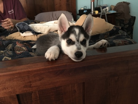 Yukon