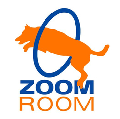 Zoom Room Redondo Beach
