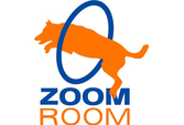 Zoom Room Redondo Beach