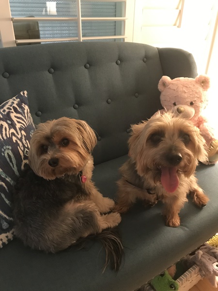 Izzy and Sunshine