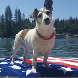 Entry image for Roxy Roo