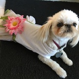 Entry image for Chloe