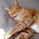 Entry image for Tabitha