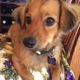 Entry image for Timmy