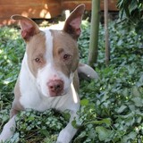 Entry image for Roxy Brown