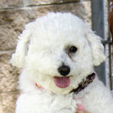 Entry image for Janie Marie Landers