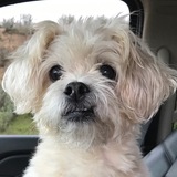 Entry image for Wally