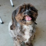 Entry image for Lucy