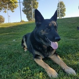 Entry image for Tucker
