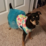 Entry image for Saydee