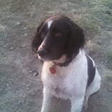 Entry image for Ellie Mae