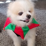 Entry image for Teddy Bear