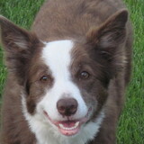 Entry image for Skye