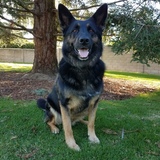 Entry image for Tucker