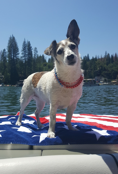 Entry image for Roxy Roo. Clicking this image will show a larger photo