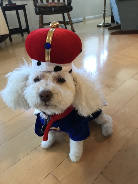 Entry image for Buddy. Clicking this image will show a larger photo