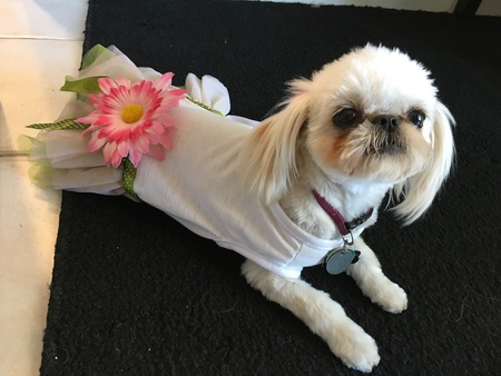 Entry image for Chloe. Clicking this image will show a larger photo