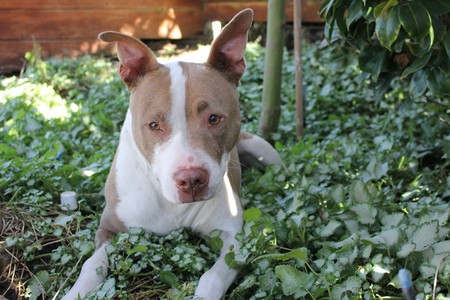 Entry image for Roxy Brown. Clicking this image will show a larger photo