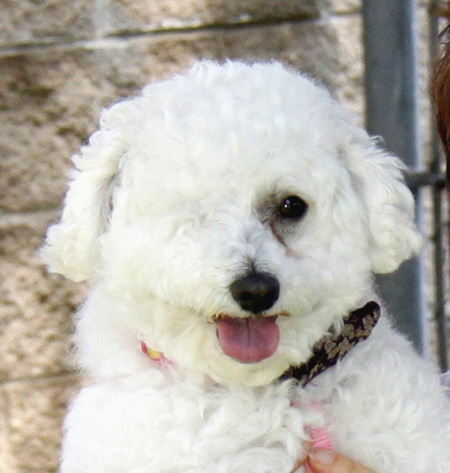 Entry image for Janie Marie Landers. Clicking this image will show a larger photo