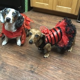 Entry image for  Remington and Lola 