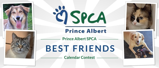 Prince Albert SPCA Prince Albert SPCA Best Friends Calendar Contest