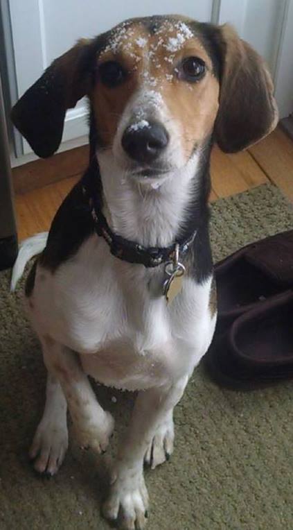 Winnie