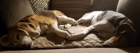 Mugsy & Winnie