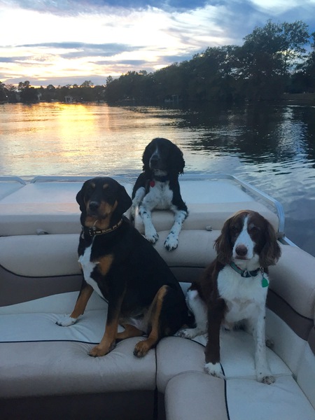 Sam, Frankie & Copper