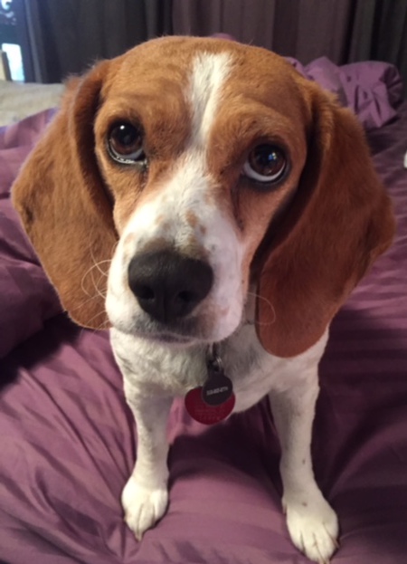 MillieJune