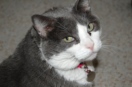Sophie