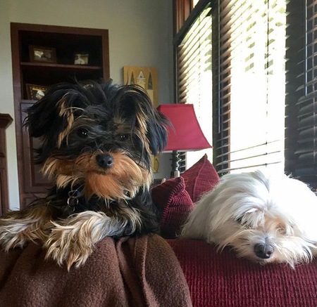Beaux and Louis Frank Myers Dixon 