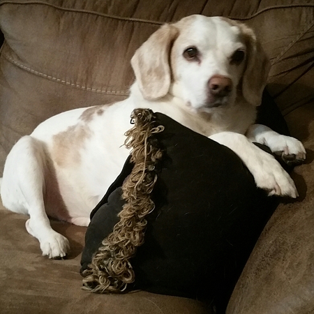 Henry