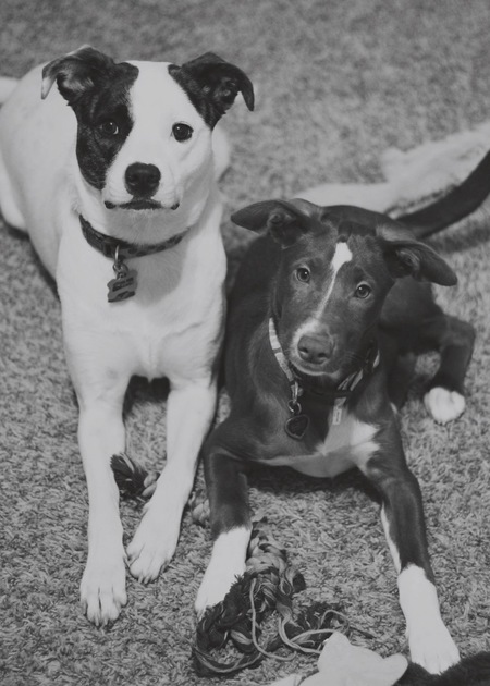 Hope & Stella
