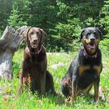 Entry image for Maggie/Lexi