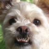 Entry image for Jimmer