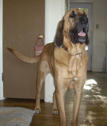 Entry image for Logan. Clicking this image will show a larger photo