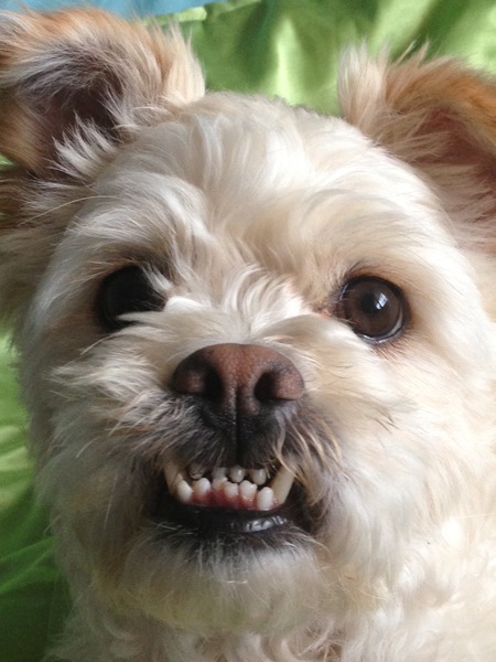 Entry image for Jimmer. Clicking this image will show a larger photo