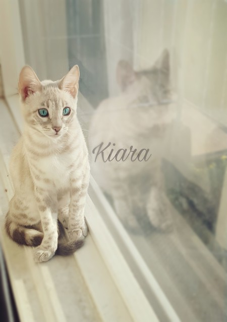 Kiara