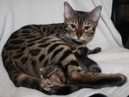 Simmone w/Kit
